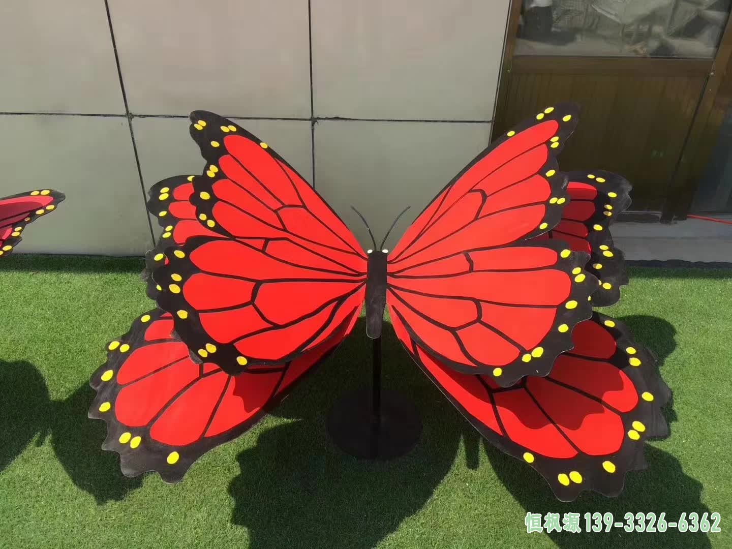 彩绘蝴蝶 (14)