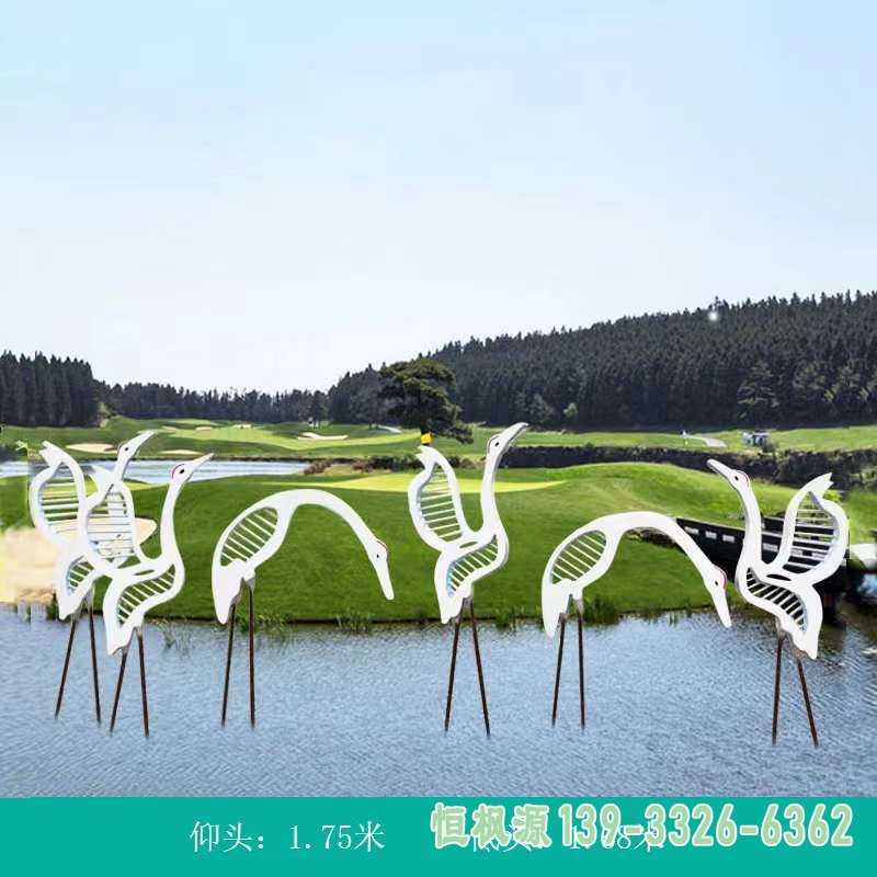 镜面仙鹤 (6)