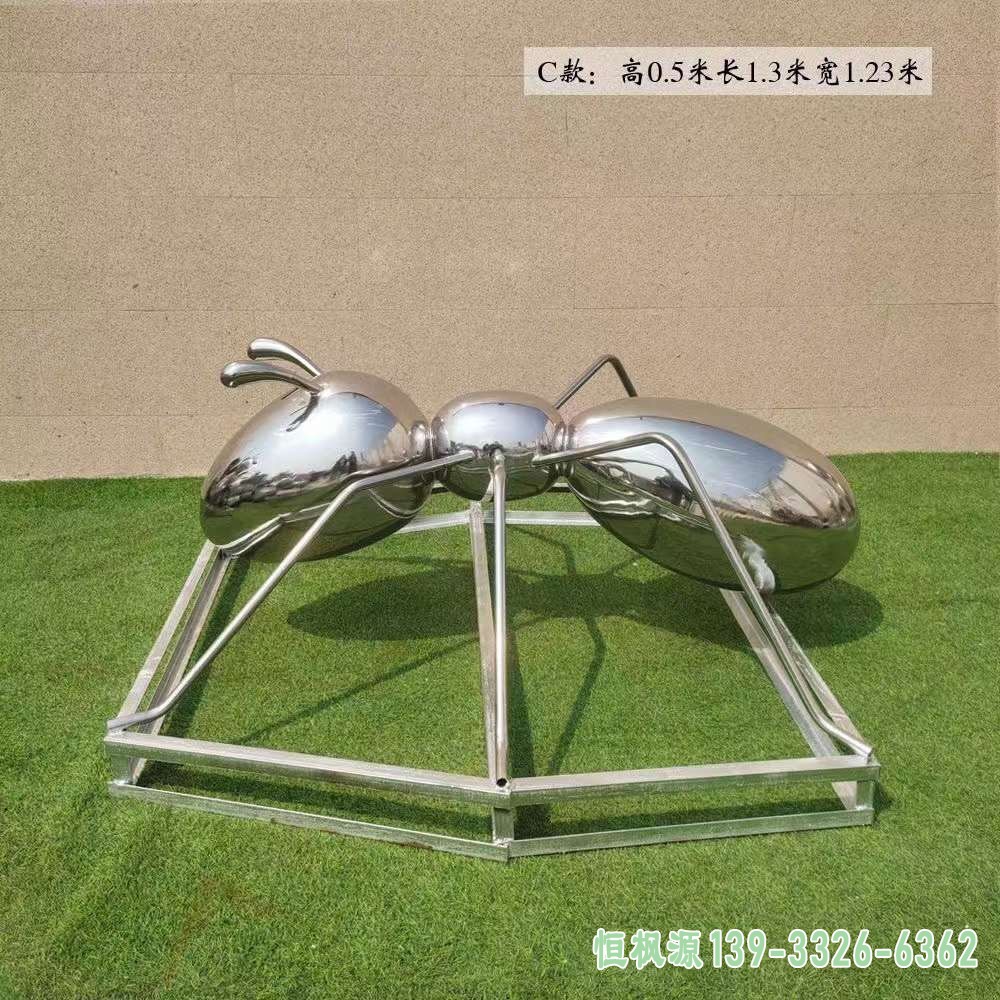 镜面蚂蚁 (7)