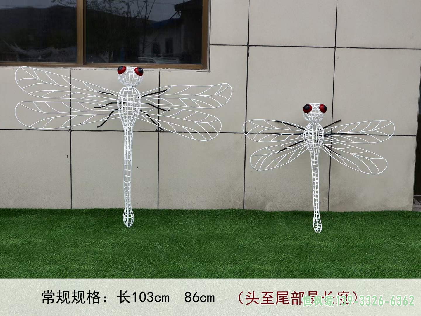 镂空蜻蜓 (1)