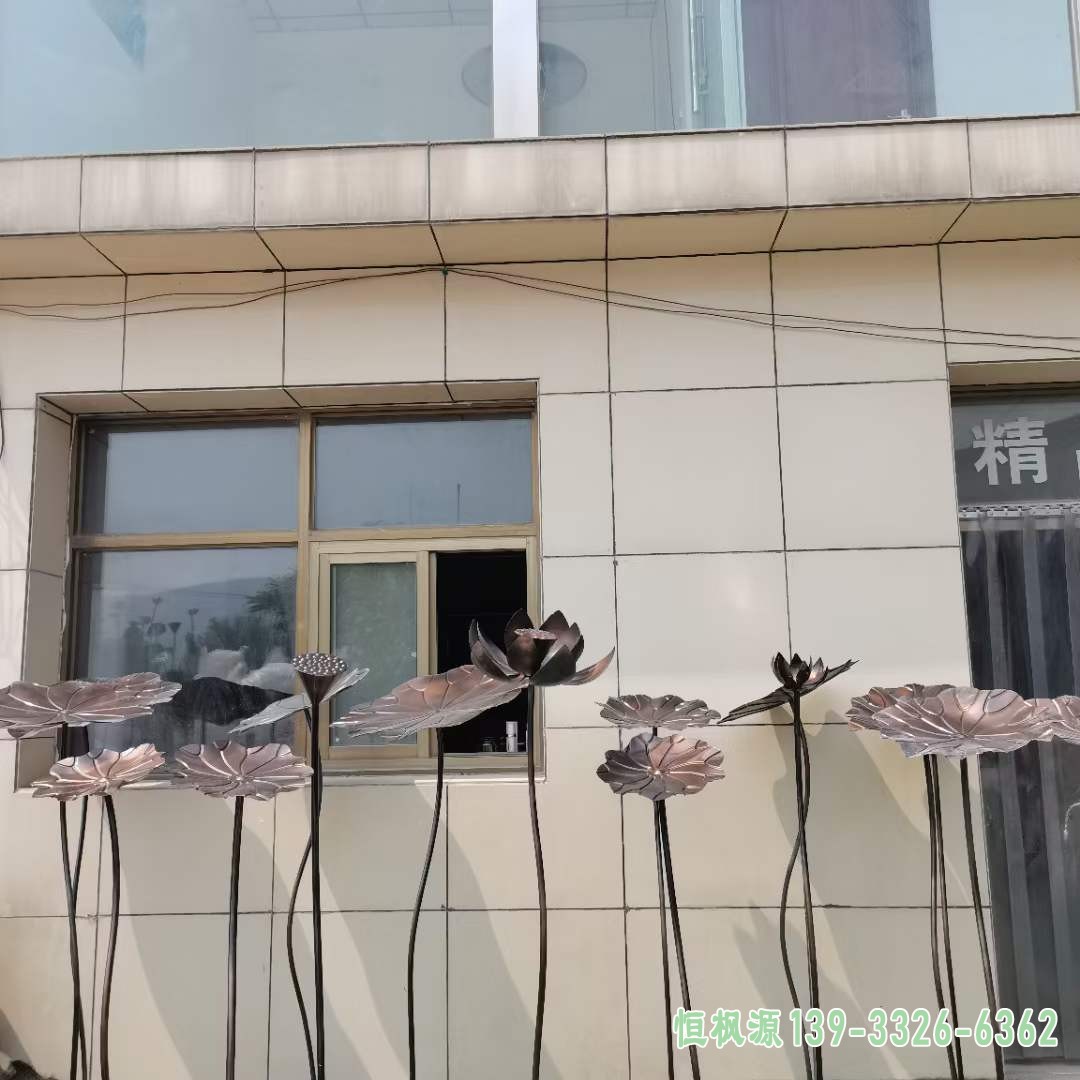 荷花 (30)