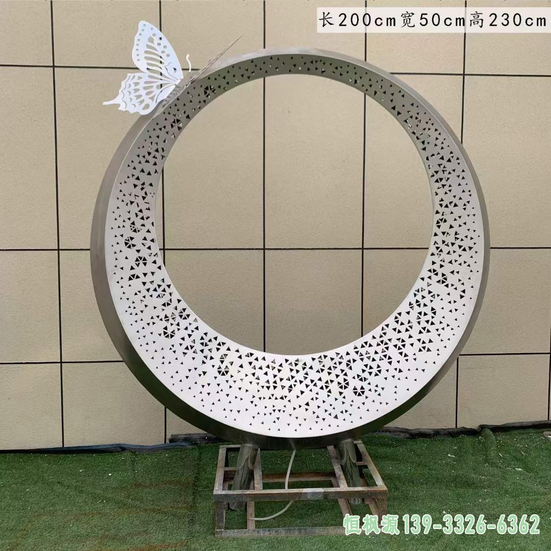 镜面圆环 (21)