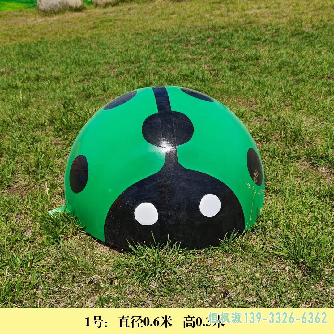 彩绘七星瓢虫 (27)