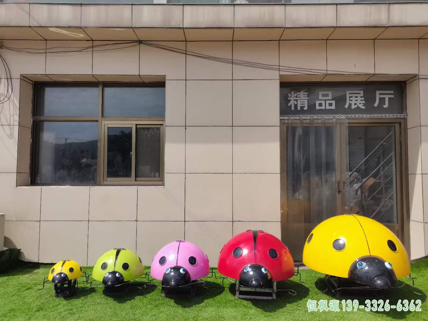 彩绘七星瓢虫 (14)