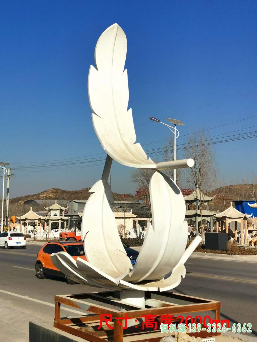 羽毛 (2)